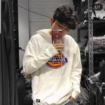 Hoodies Dickies