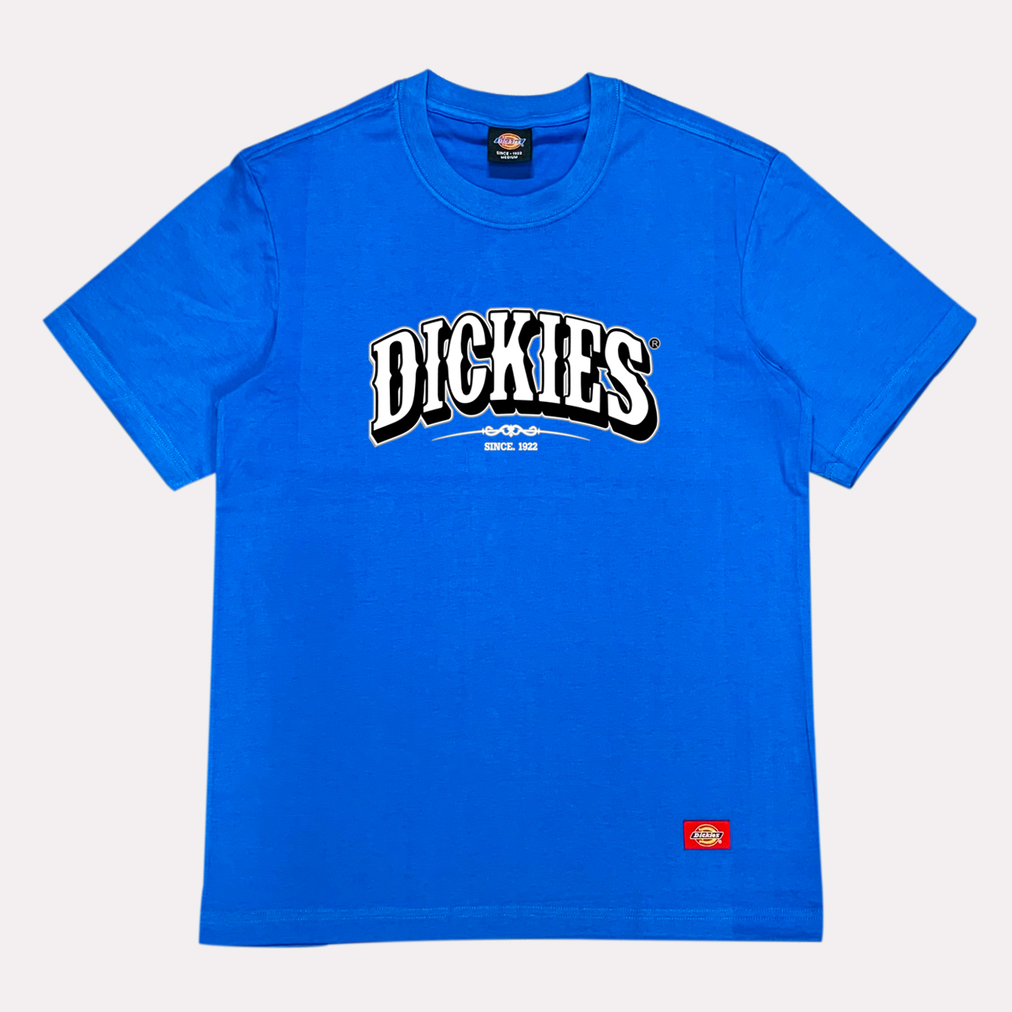 ao-thun-dickies-chinh-hang (124)