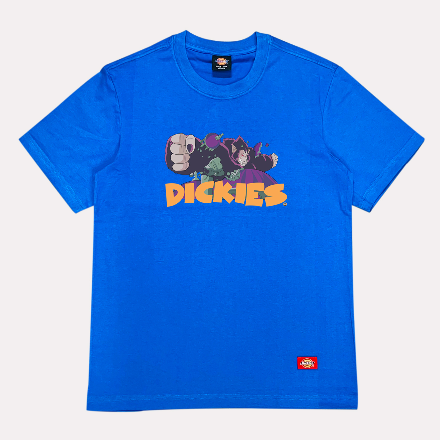 ao-thun-dickies-chinh-hang (131)