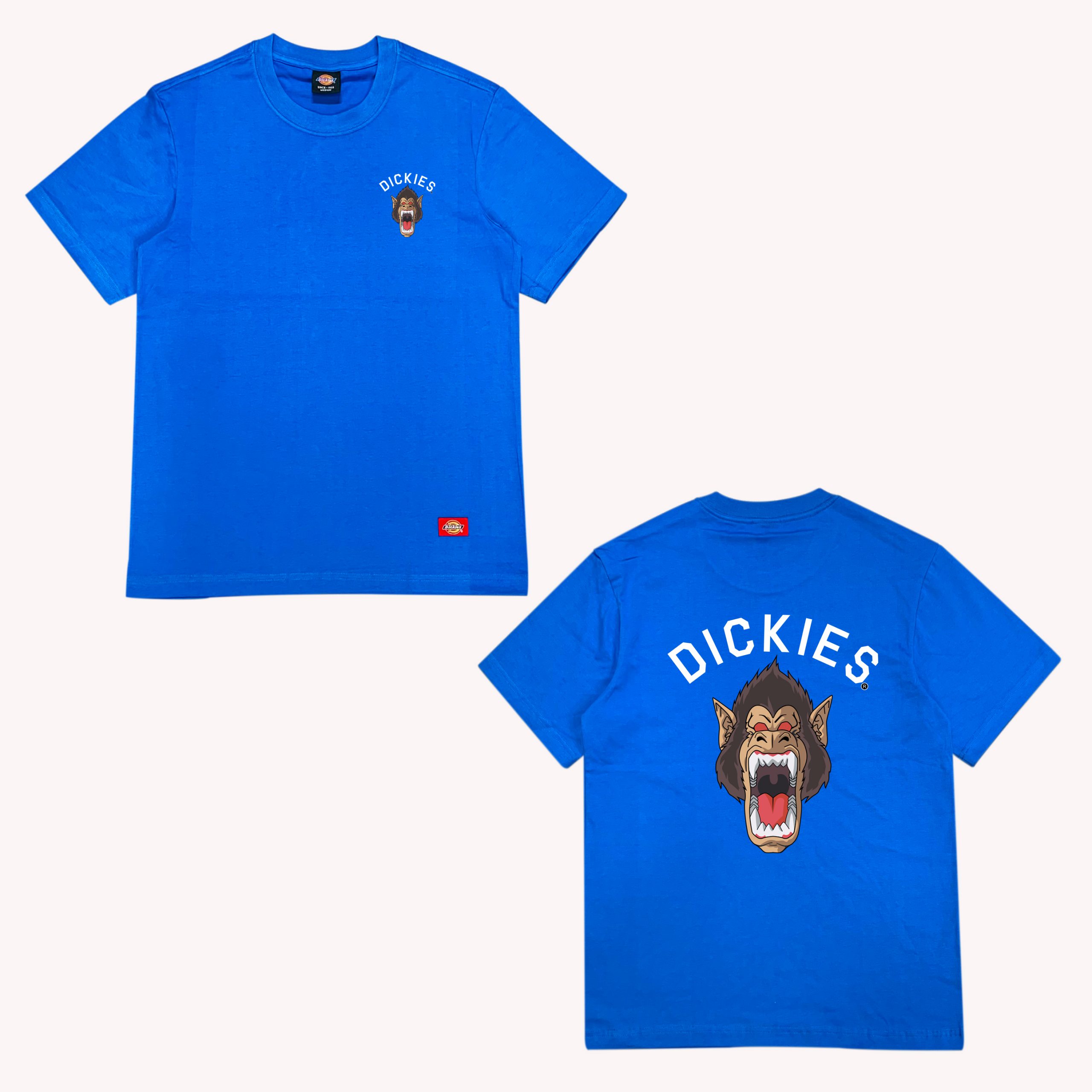 ao-thun-dickies-chinh-hang (140)