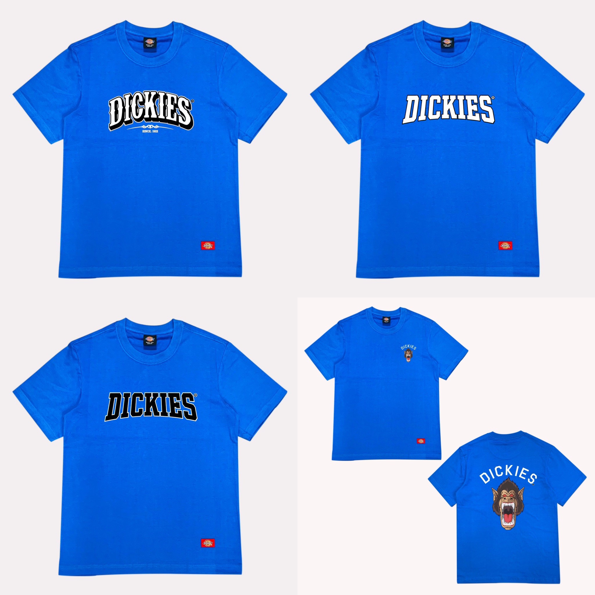 ao-thun-dickies-chinh-hang (291)