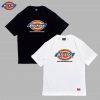 Áo thun nam nữ unisex Dickies logo basic + chữ, chất cotton 100% chính hãng